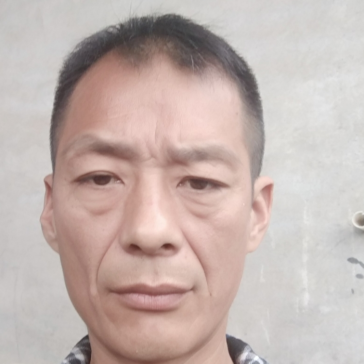 苦盡甘來(lái)做蘭小草