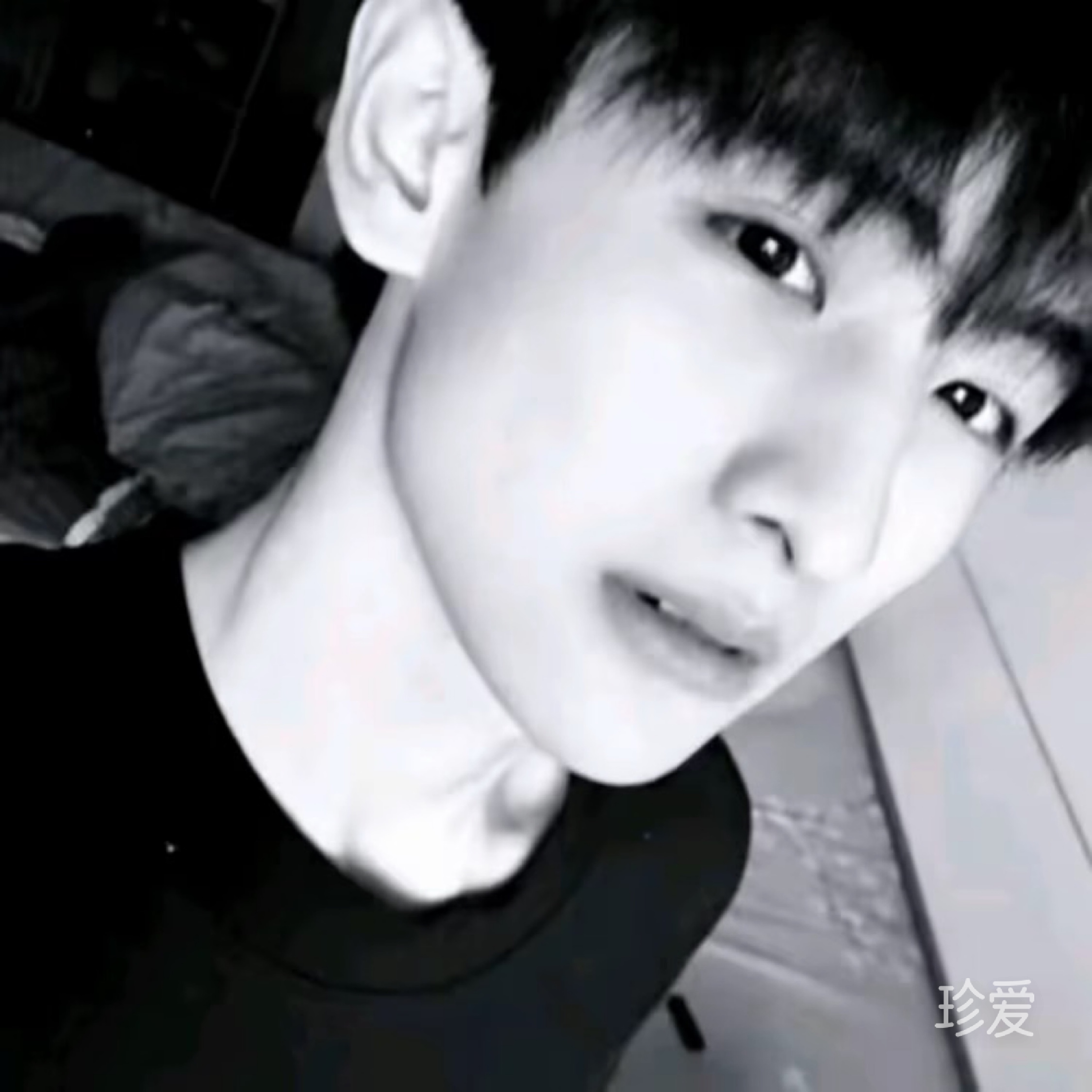小扬总