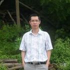 聽(tīng)風(fēng)的鳥(niǎo)