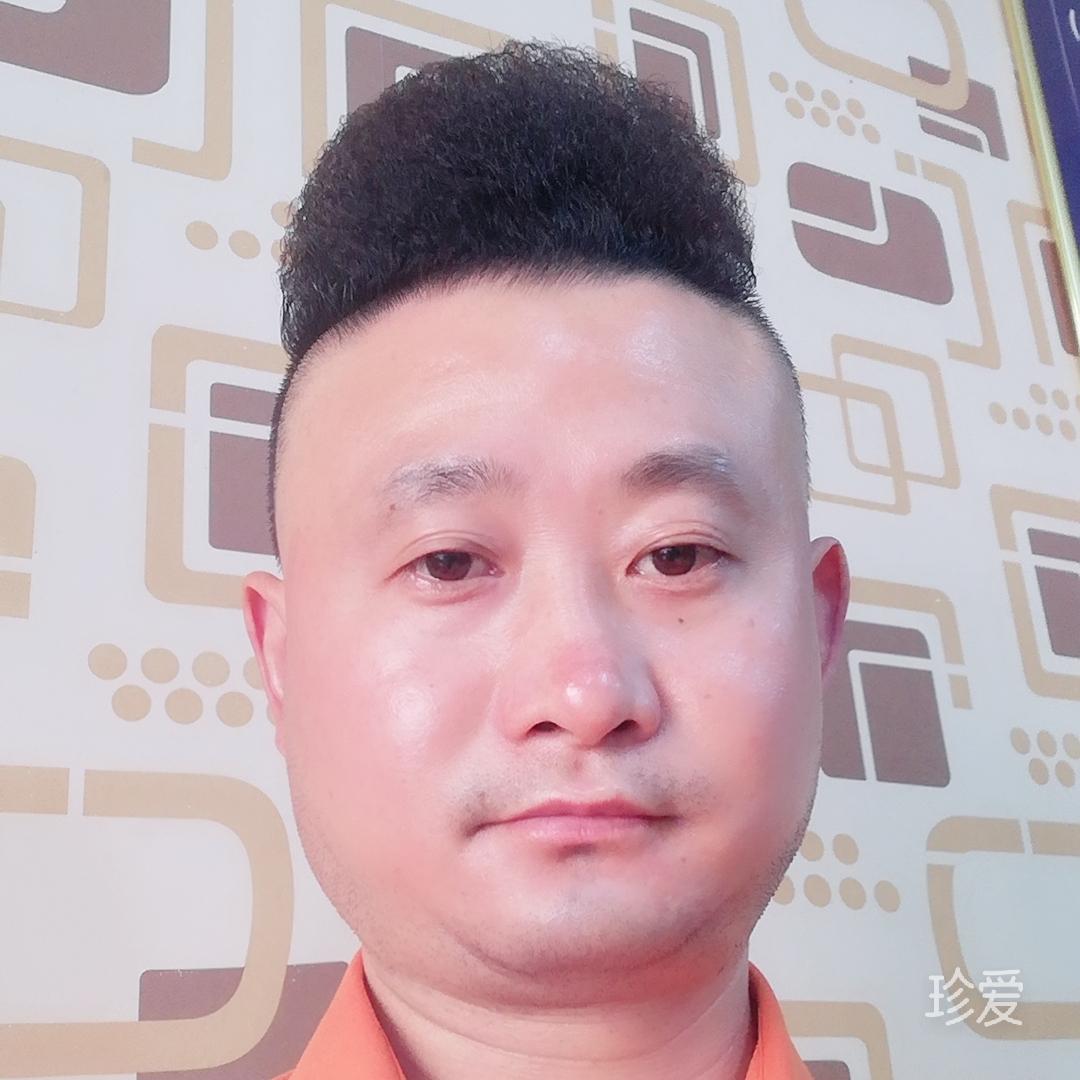 如风若梦