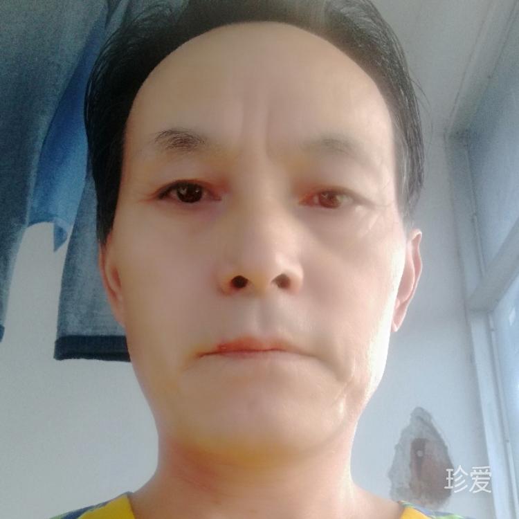 鸡仔