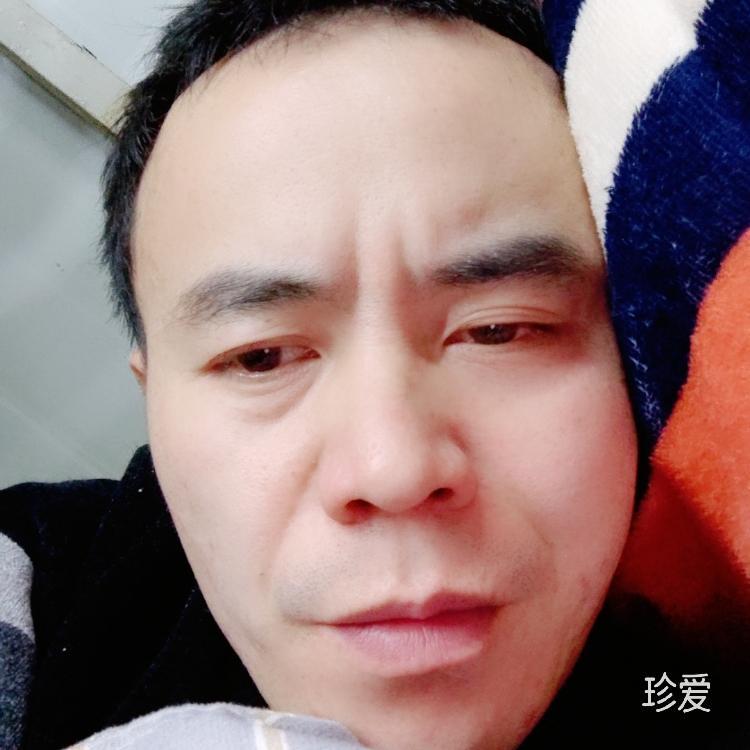 忠誠(chéng)的知更