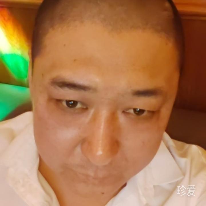 新乱世佳人