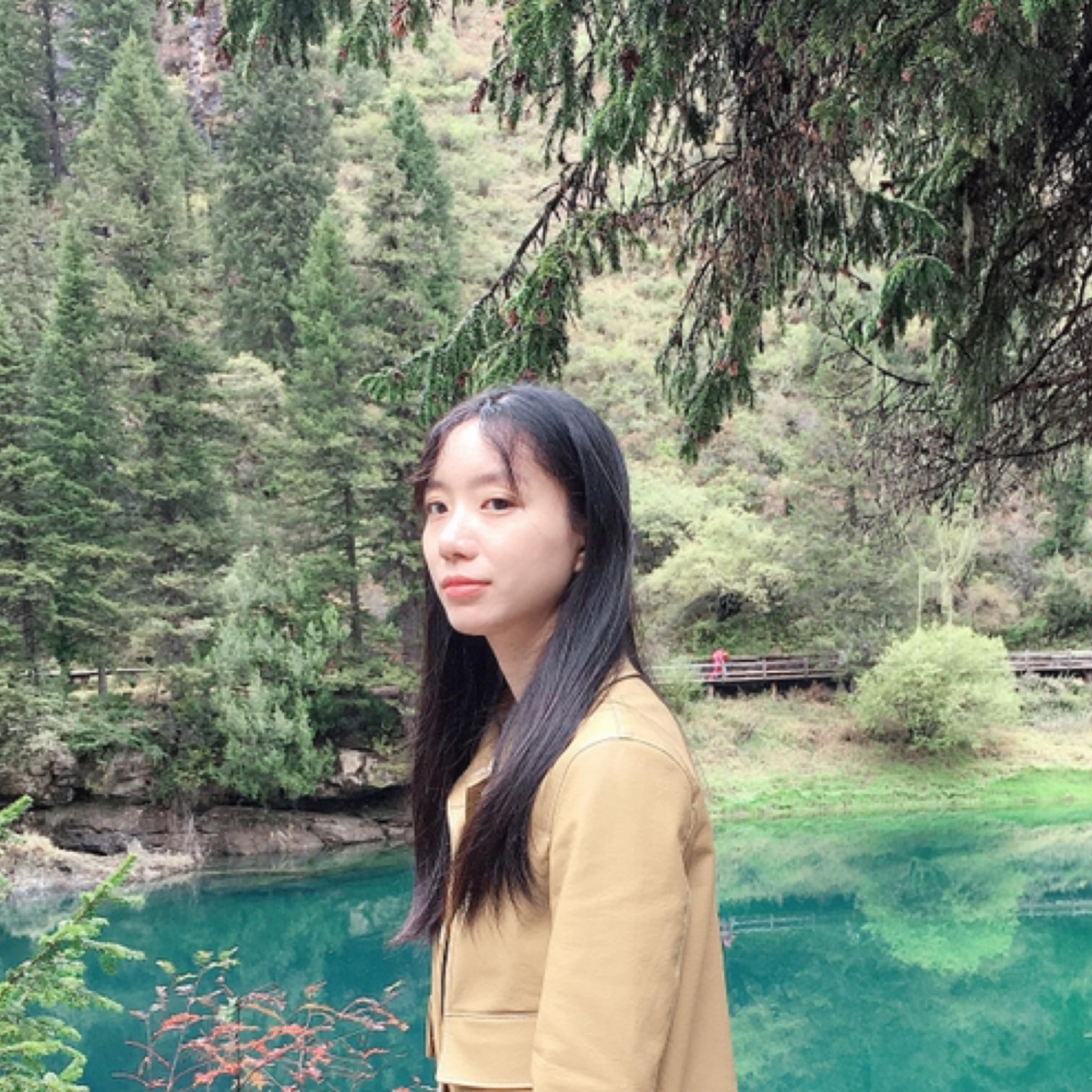 月光下的鳳尾竹