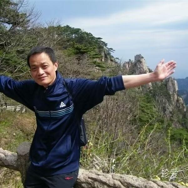 新乱世佳人