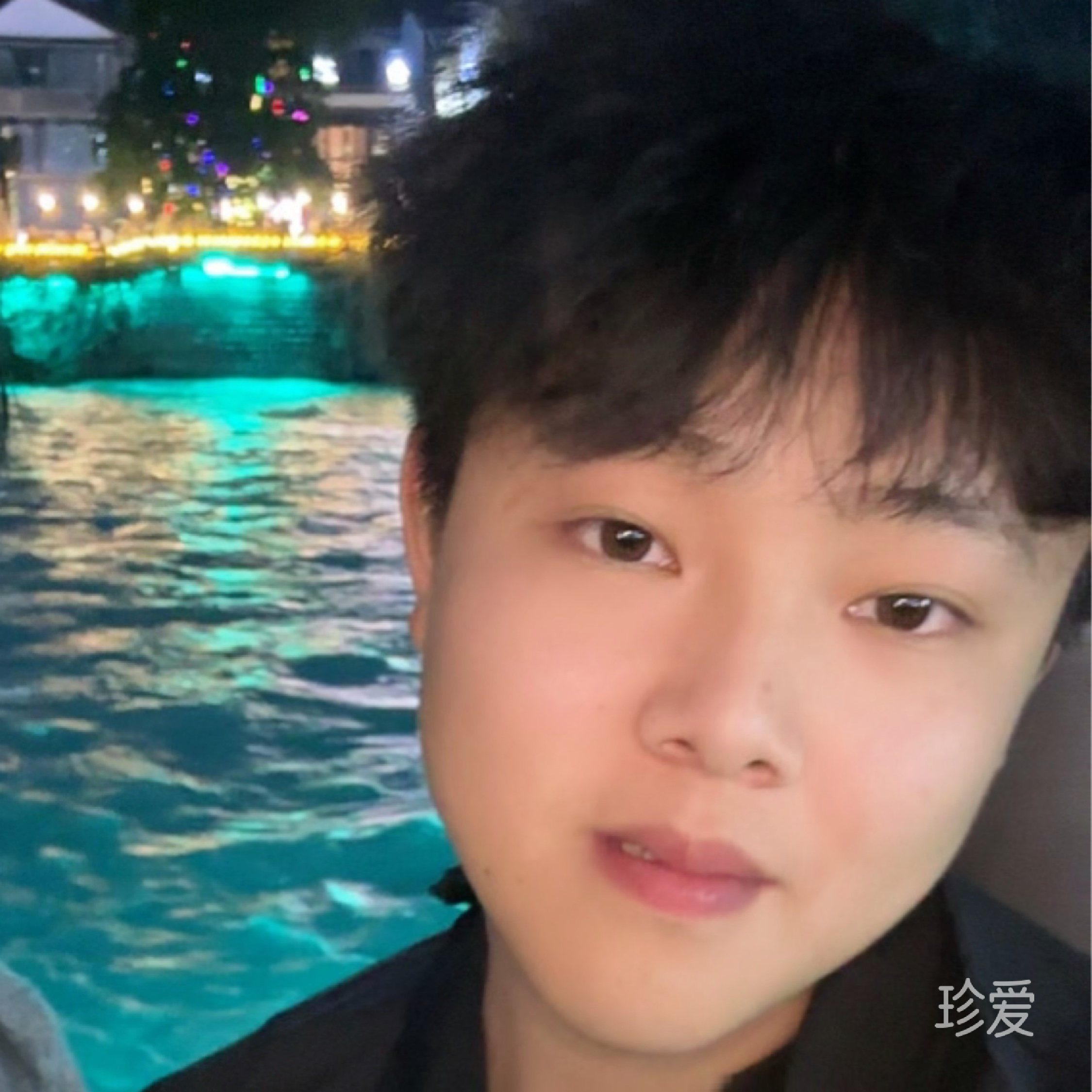一只小猫咪