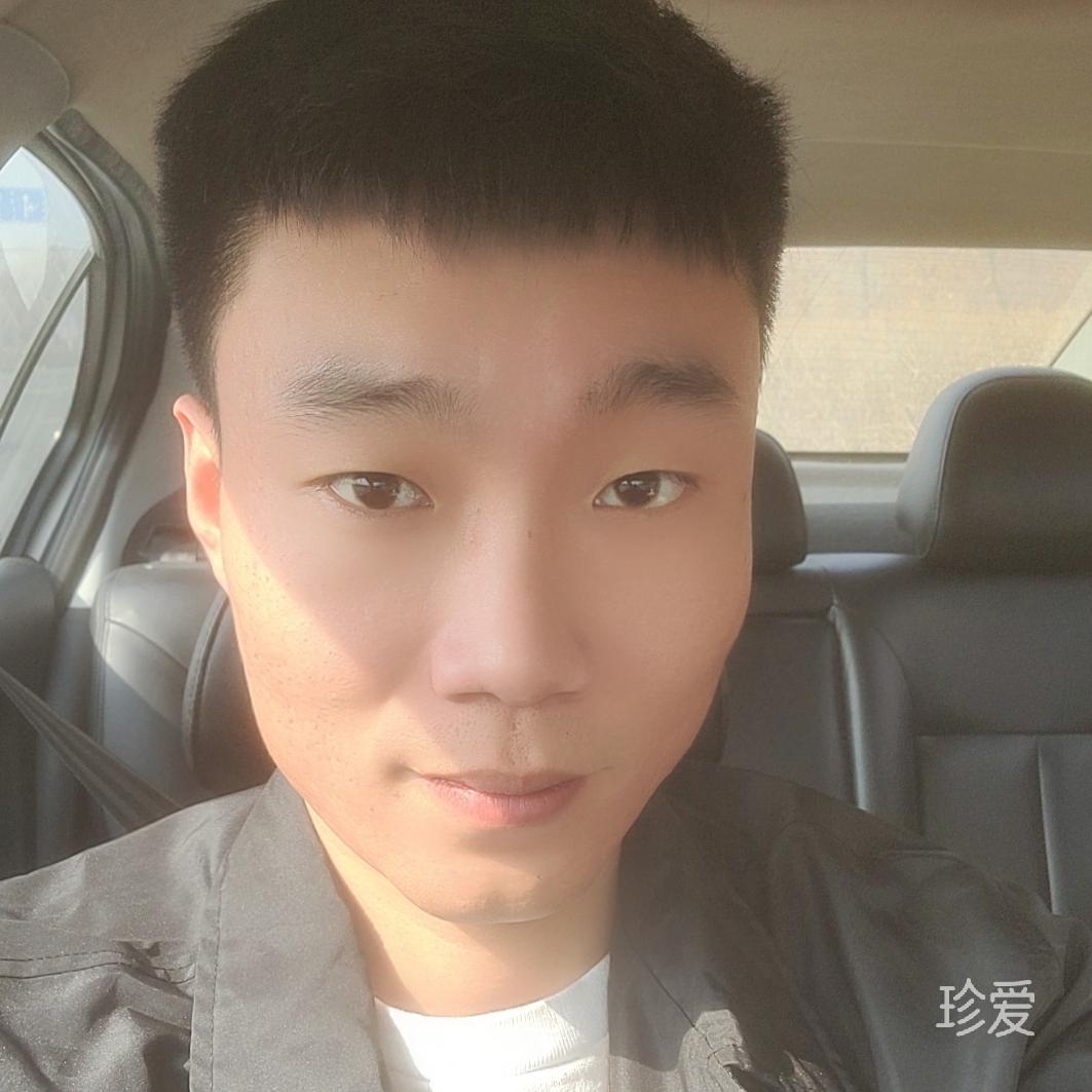 一只可爱的小柯基