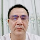 孤雁南飛