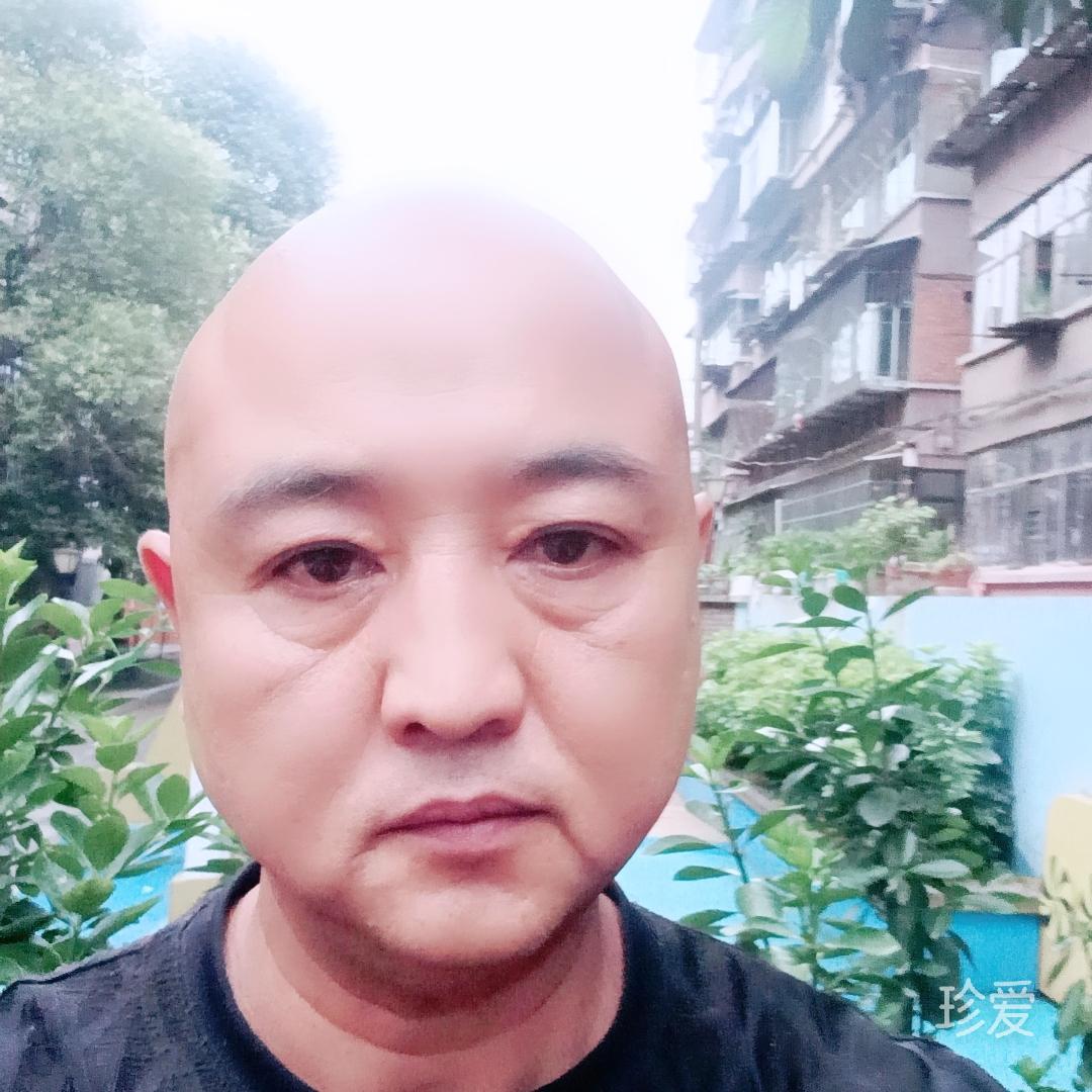 真心相伴