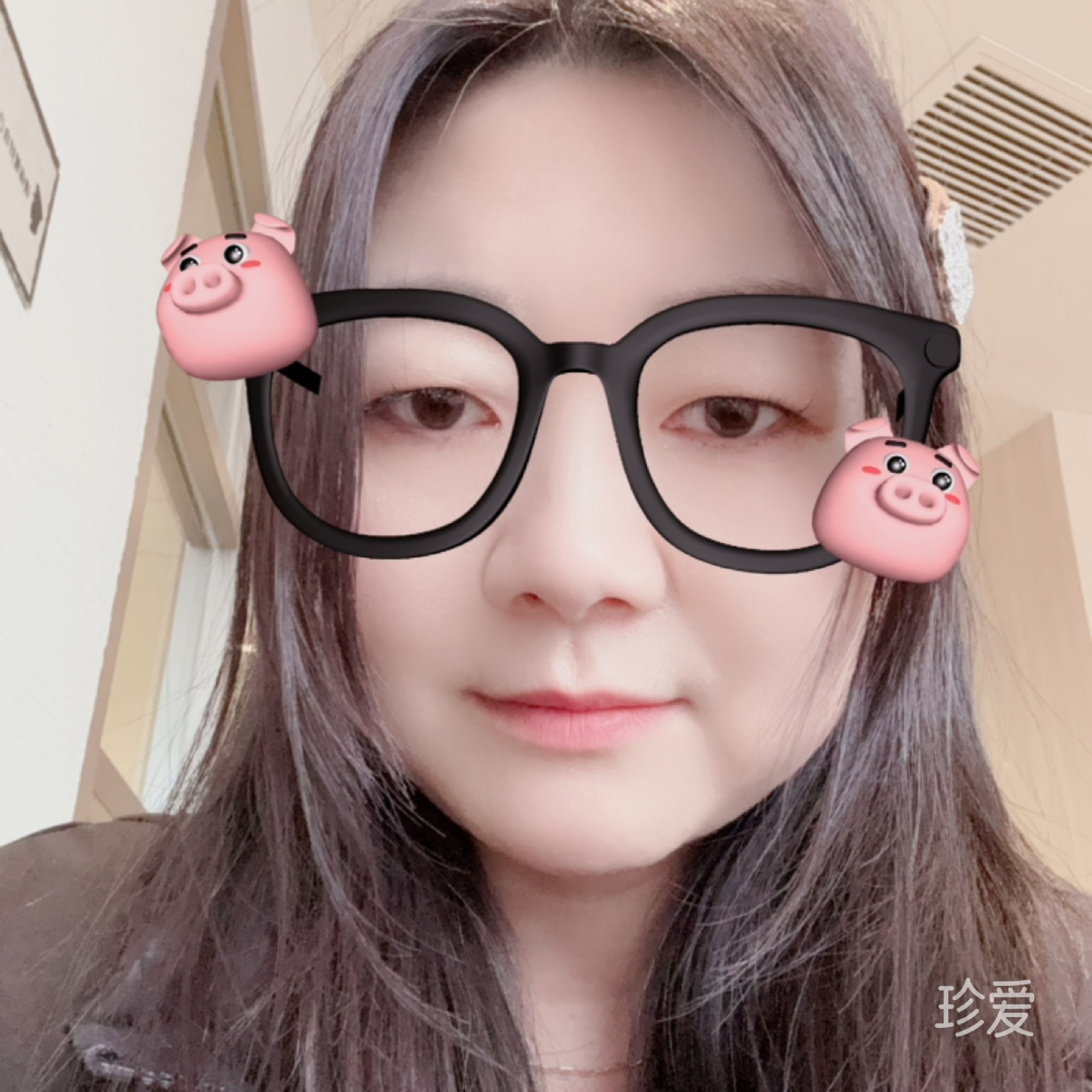 萤火虫夜的星光