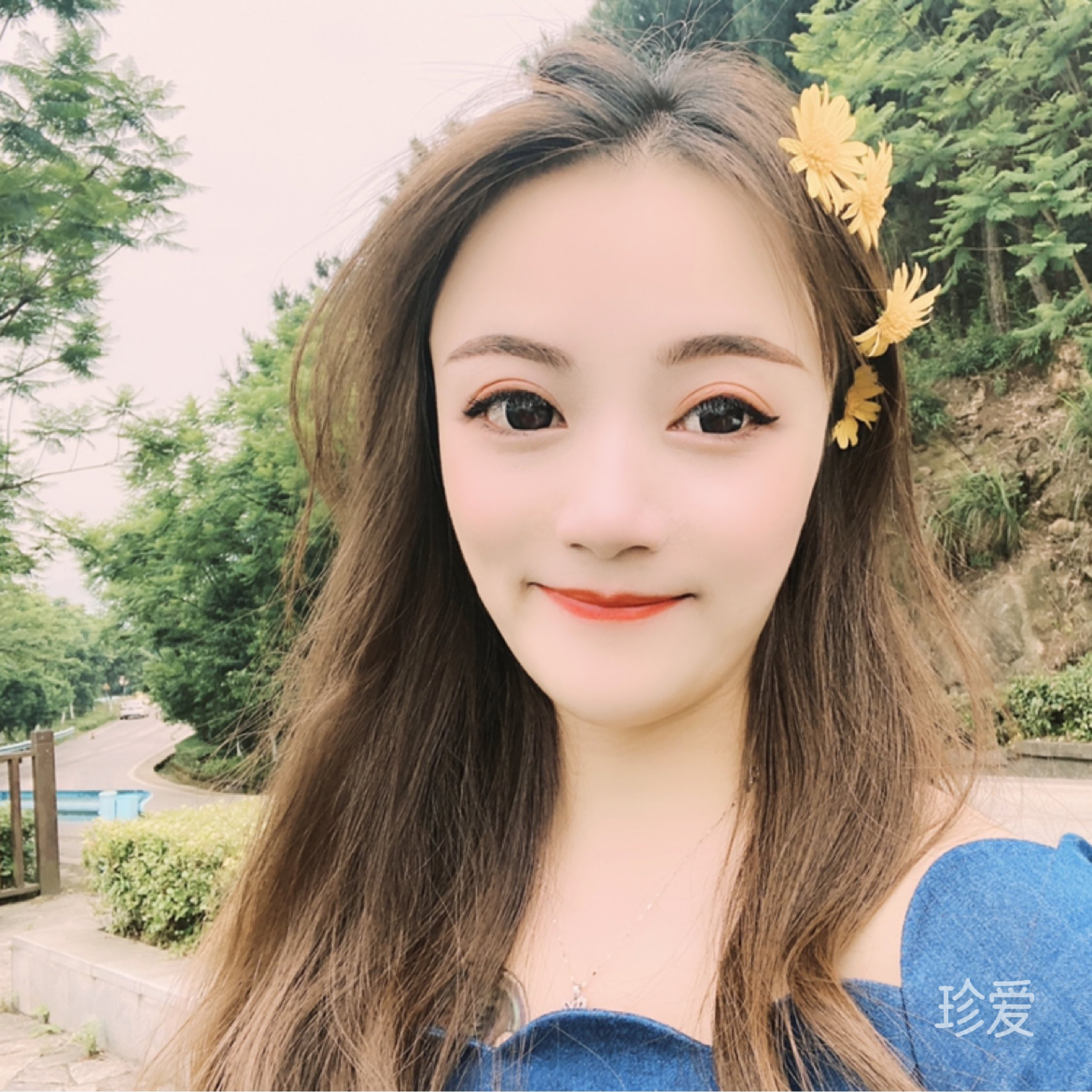 喵小苗