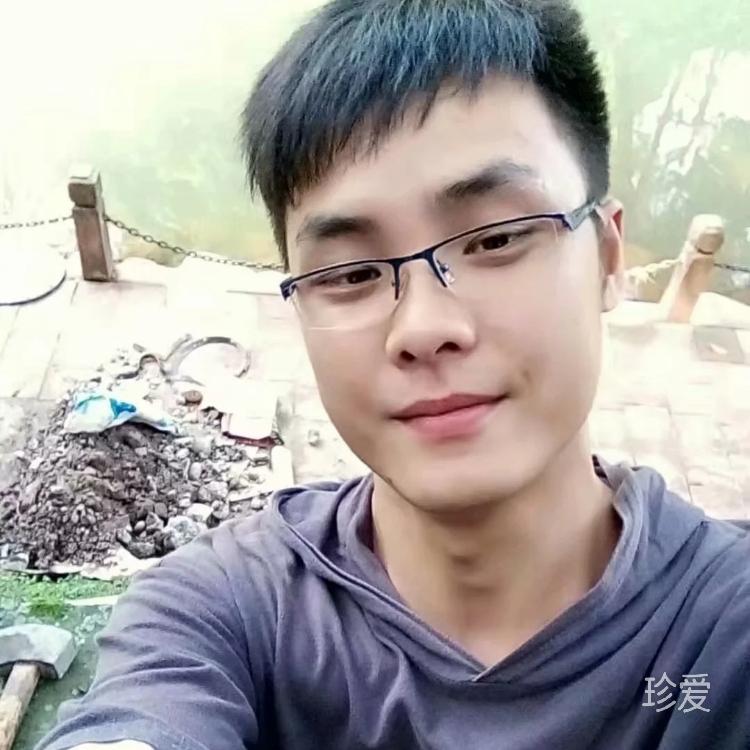 我本是木头