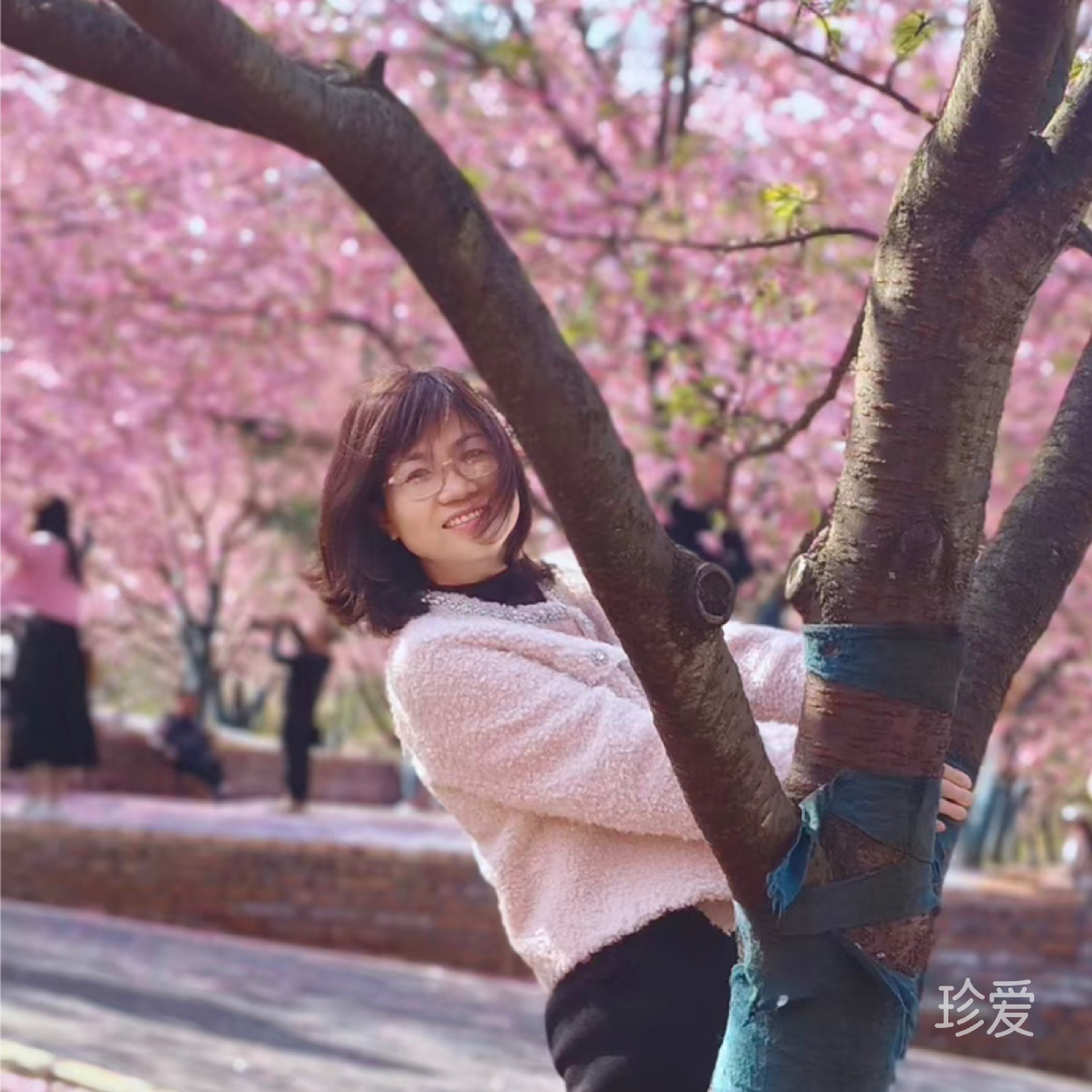 静待花开