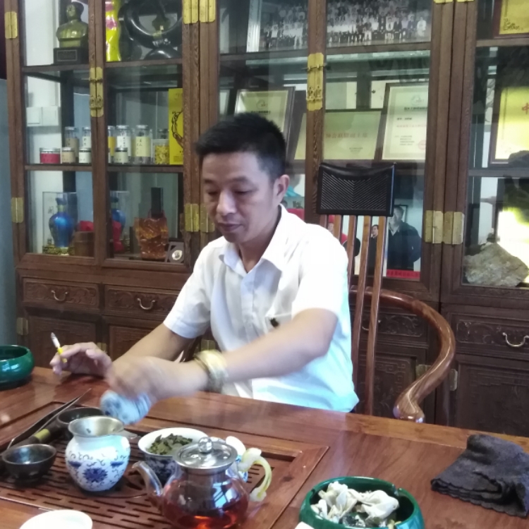 無(wú)羽的翅膀