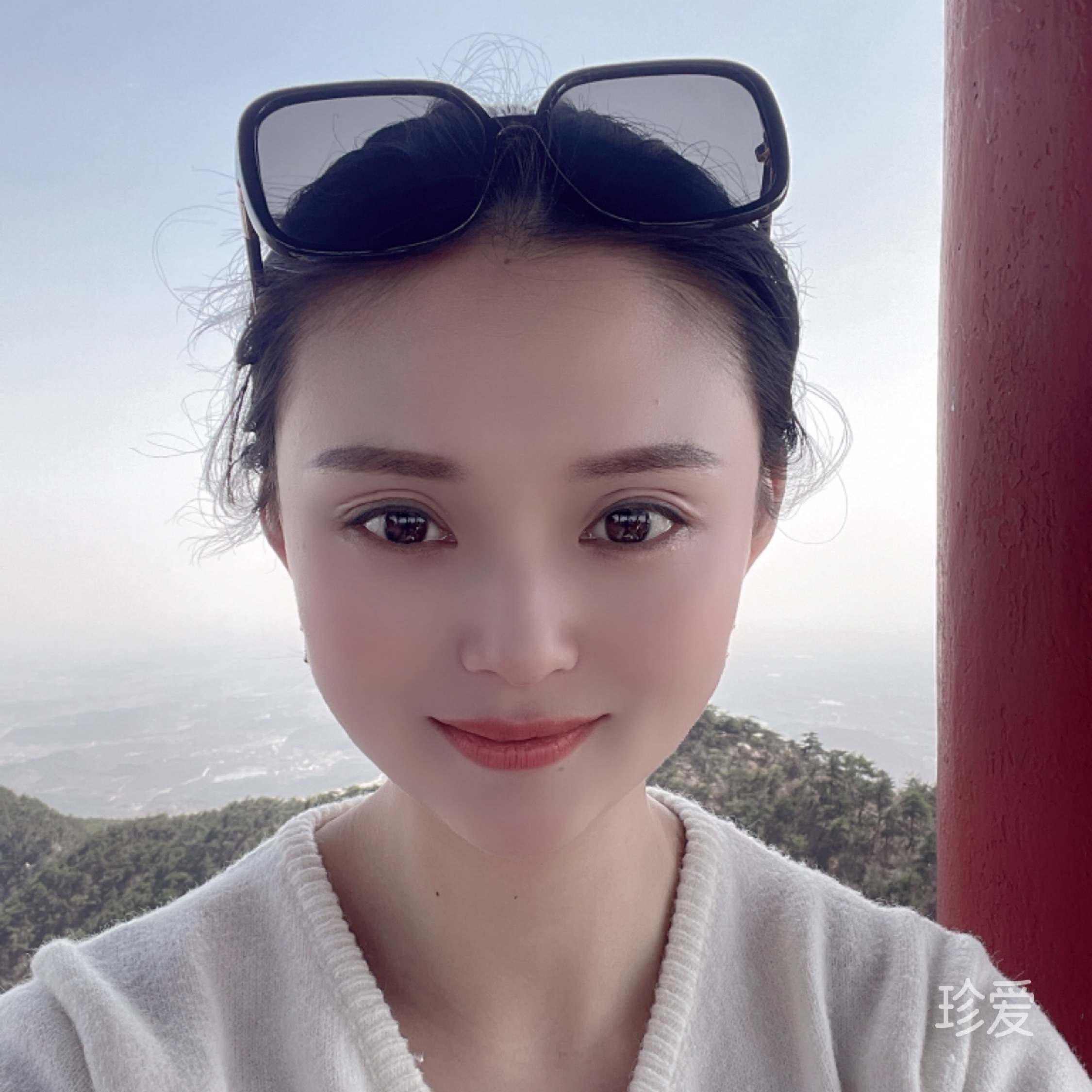 夜空下的白玫瑰