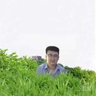 且聽風(fēng)吟