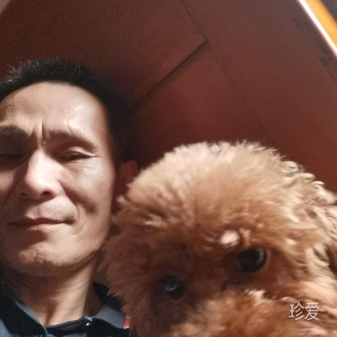 我想有个家