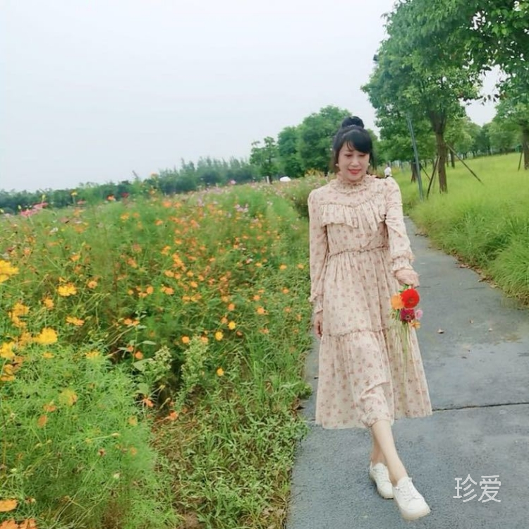 金玫瑰