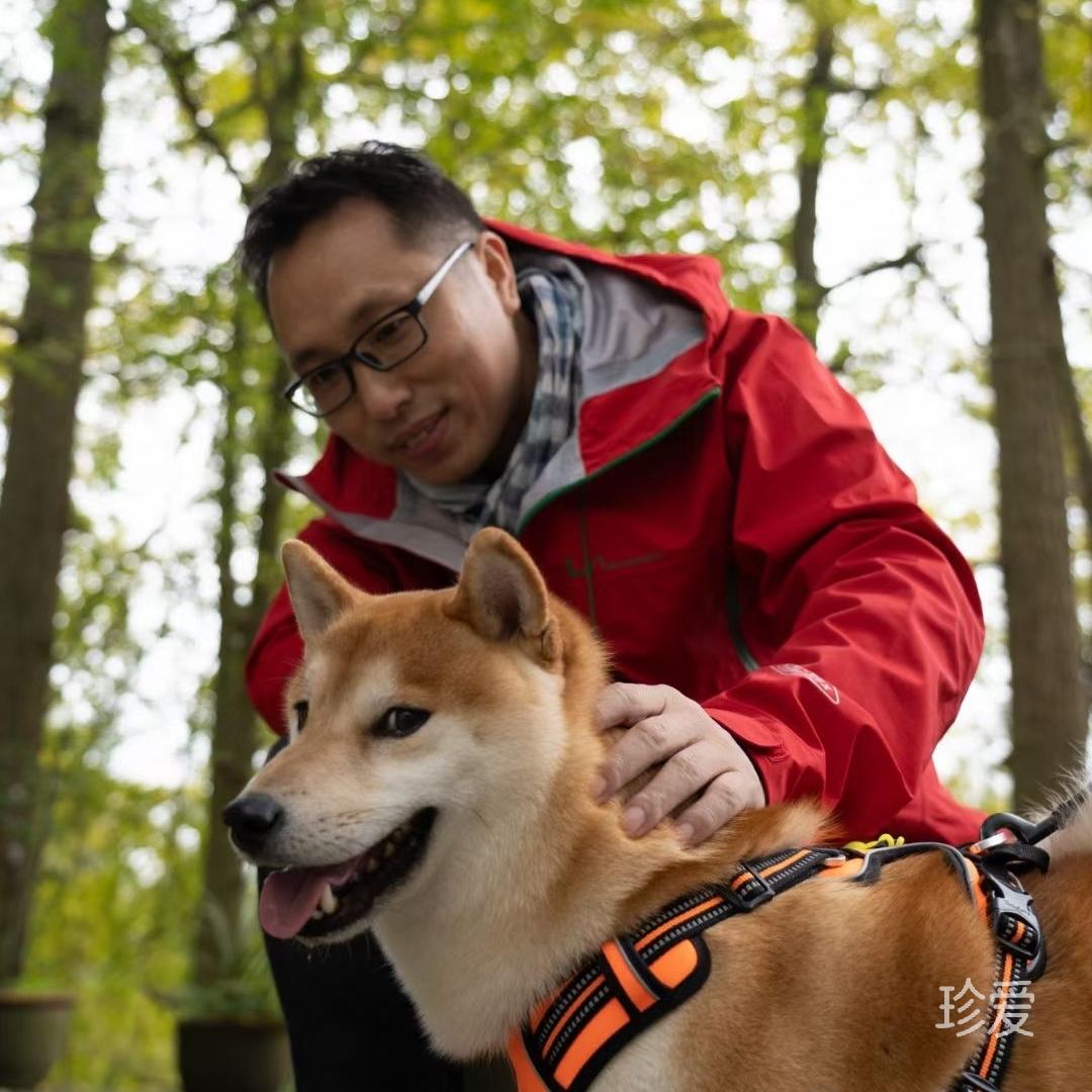 阳光
