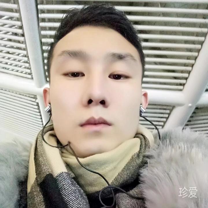 风子歌