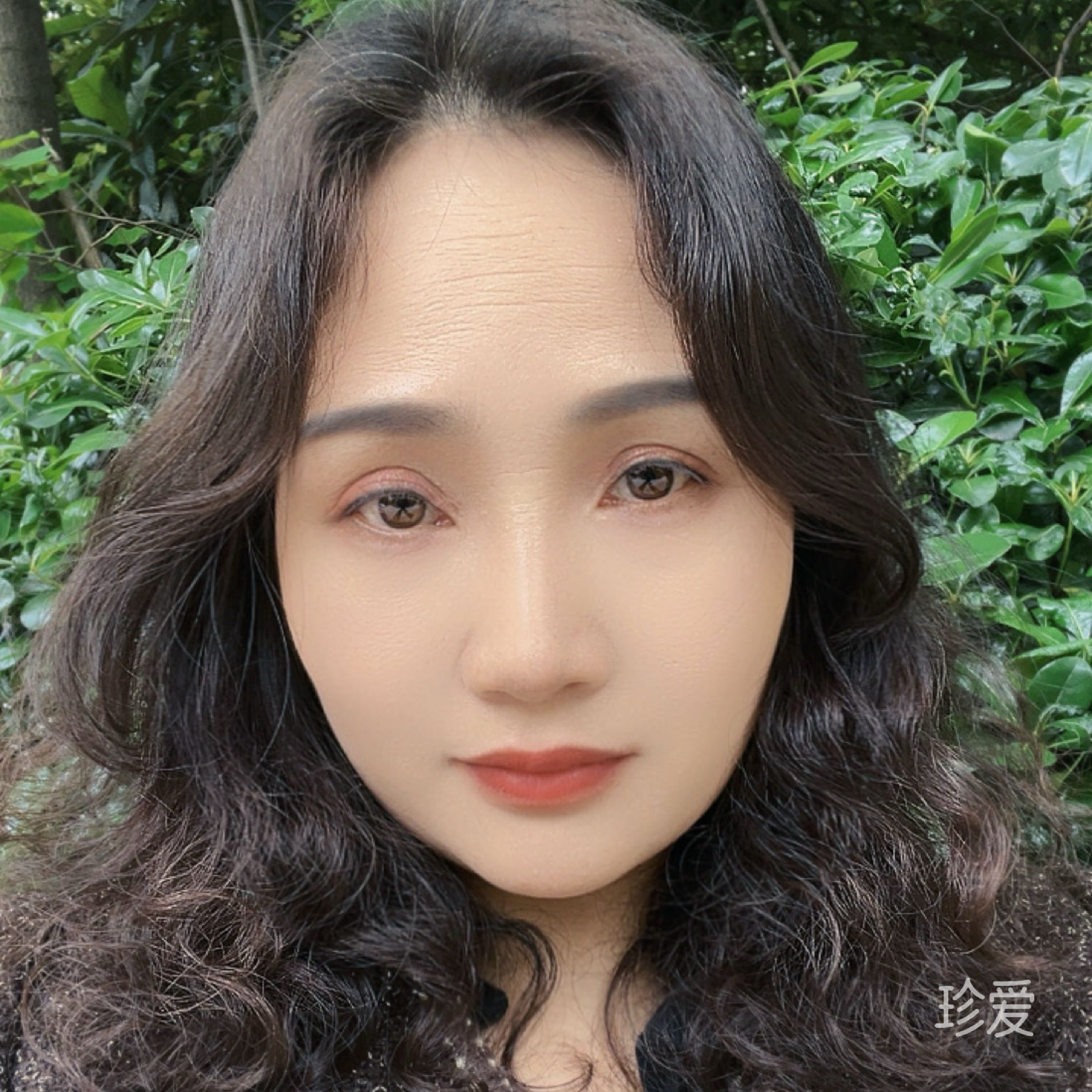 风依旧
