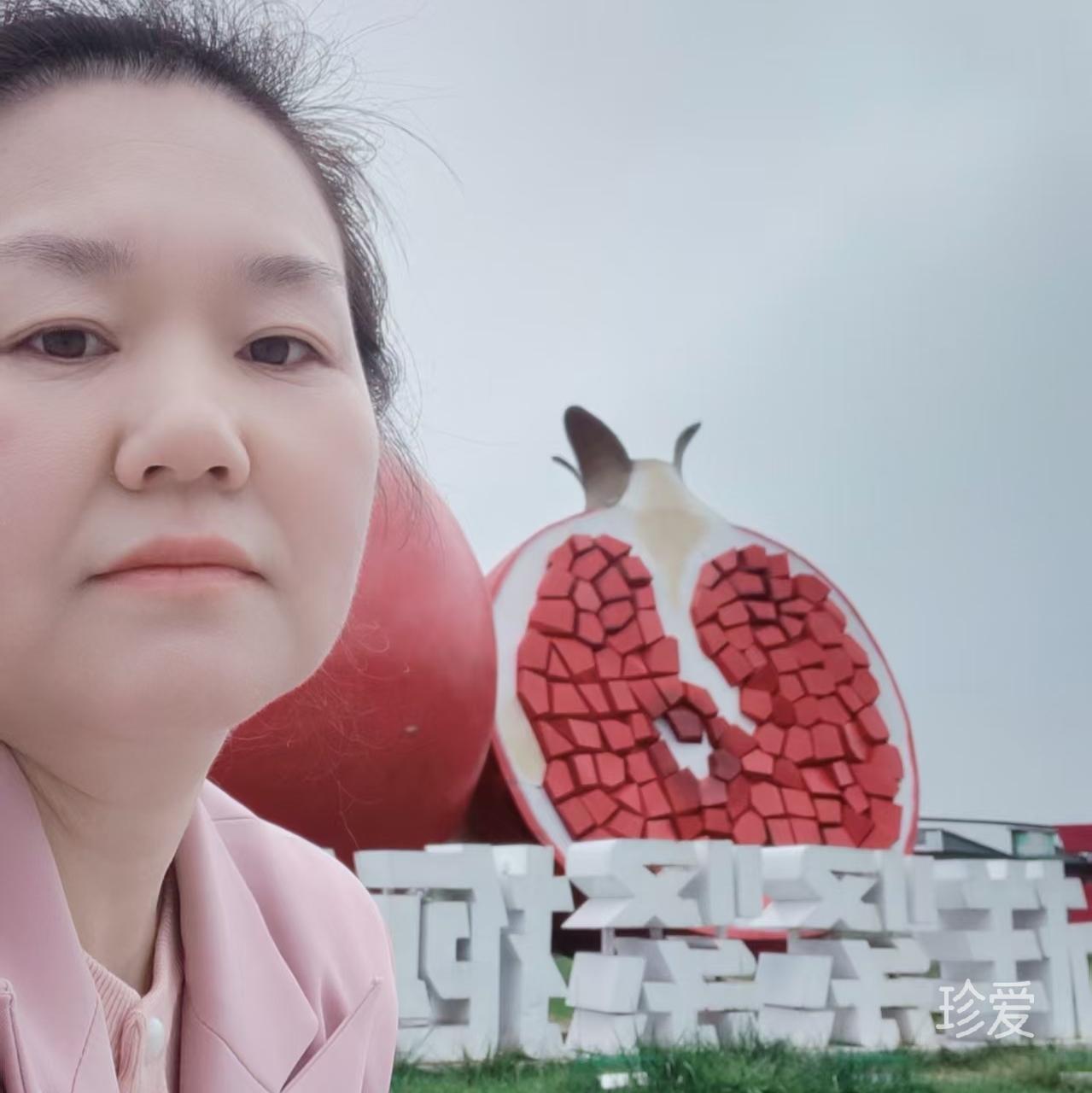 心向往之