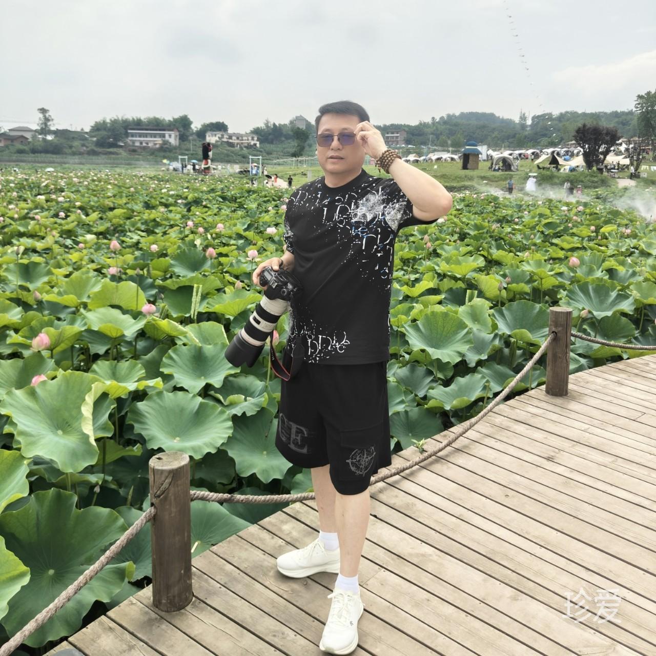 淡若清风