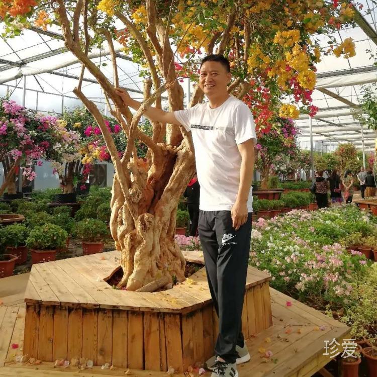 如此尴尬