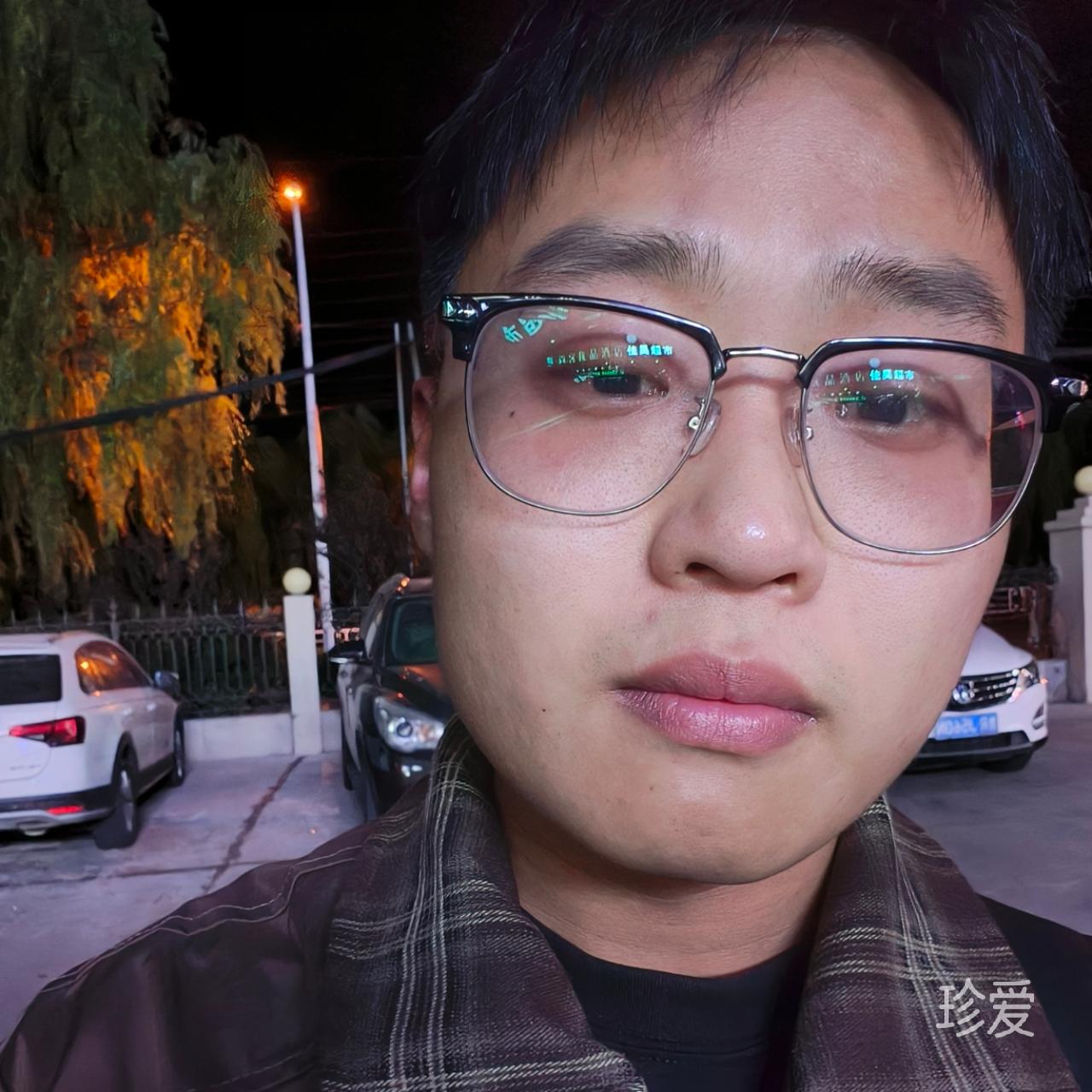 海灘上的長頸鹿