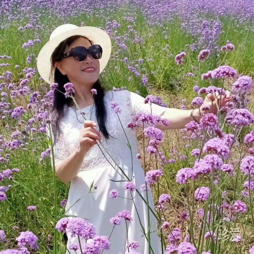 只为遇见那个你