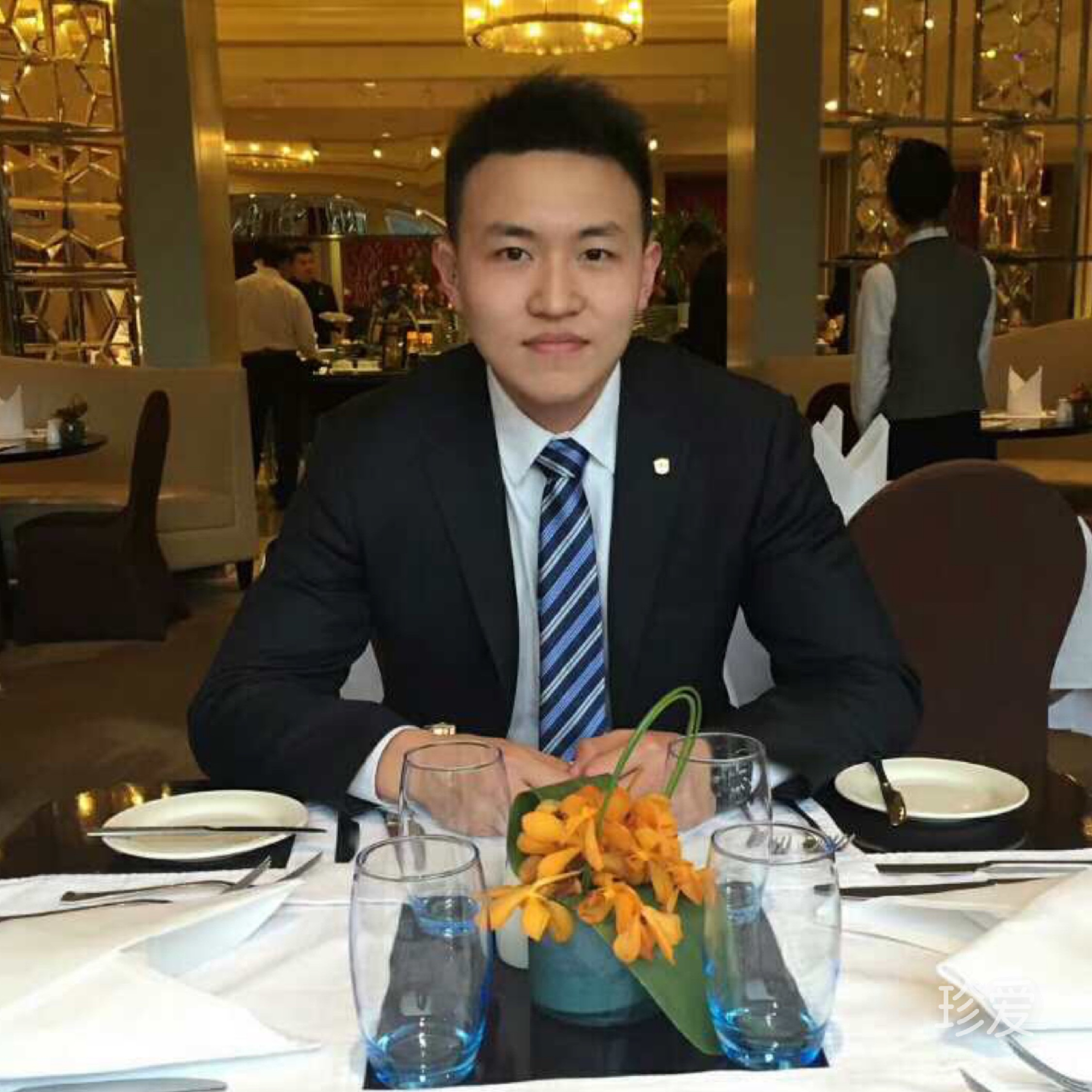 会功夫的大绵羊