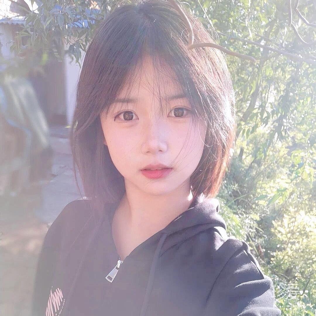 摇曳蔷薇