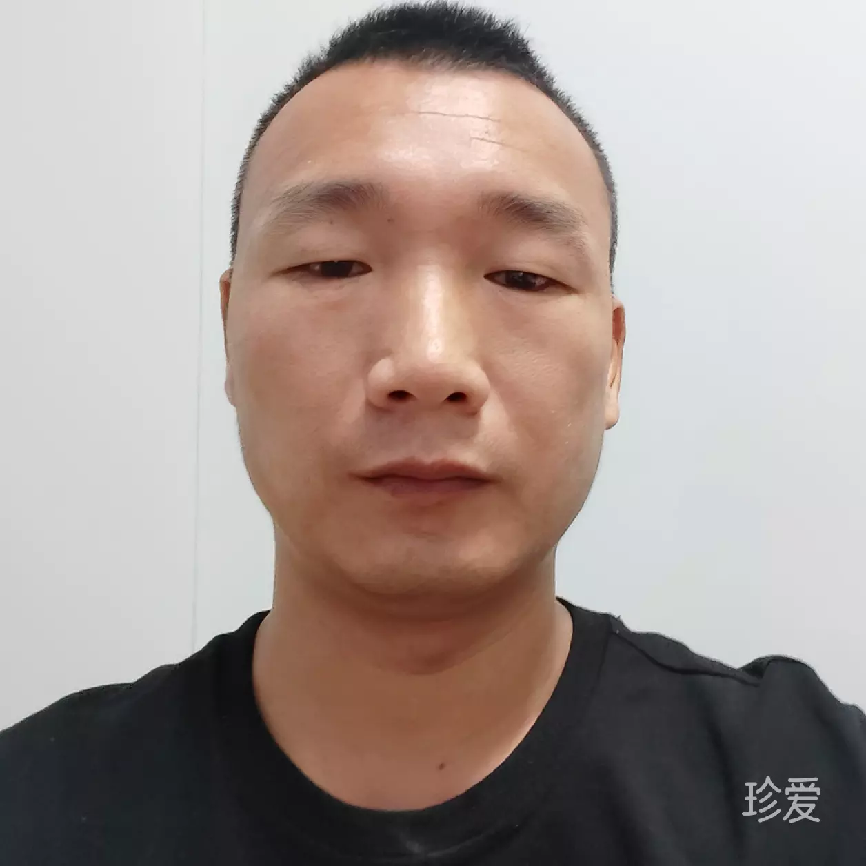 林间有新绿