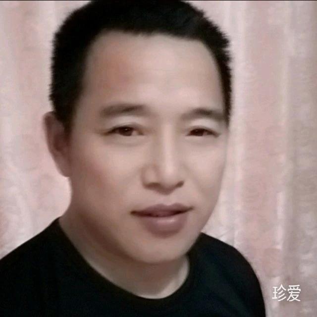 高山青松只聽歌