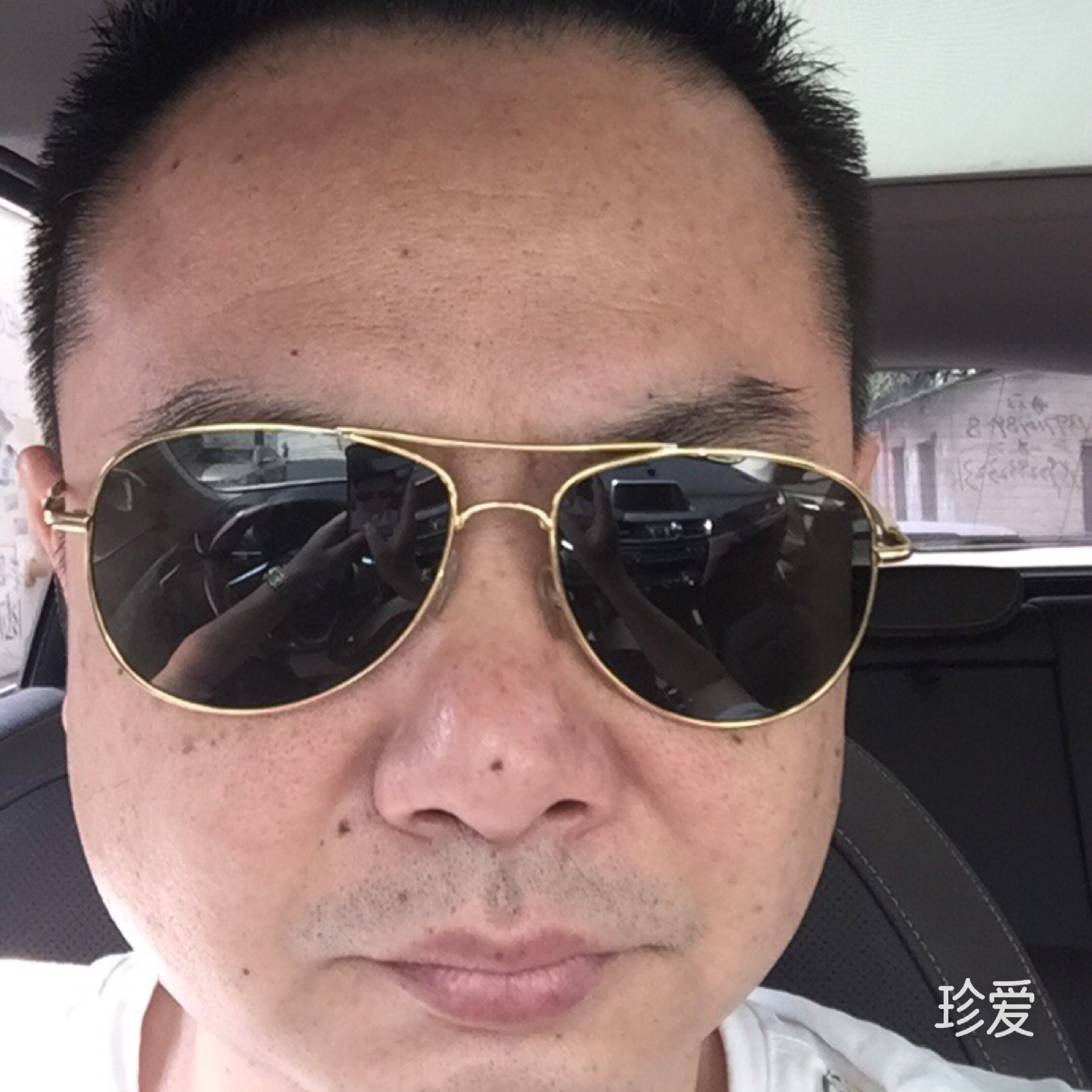 黑蚂蚁