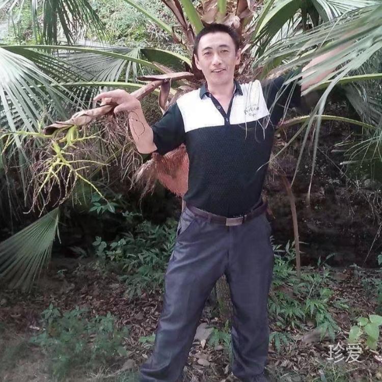 游子的心
