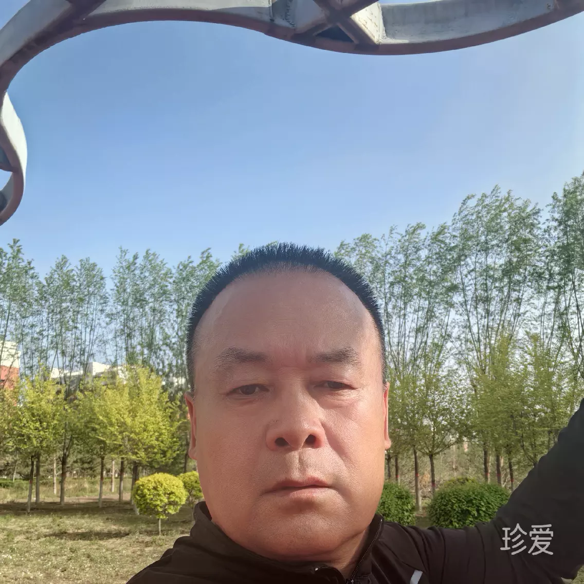 临风听雨