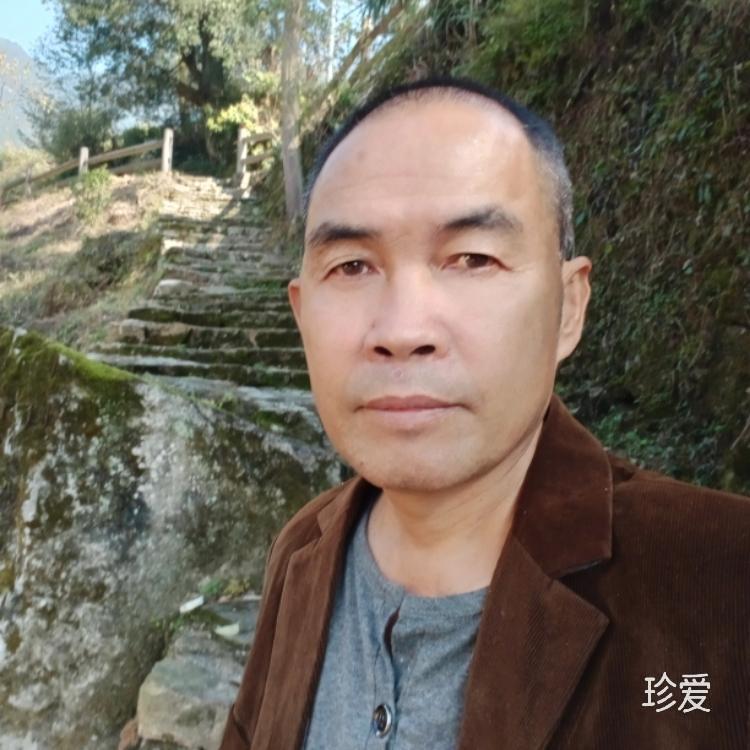 一池清墨染岁月