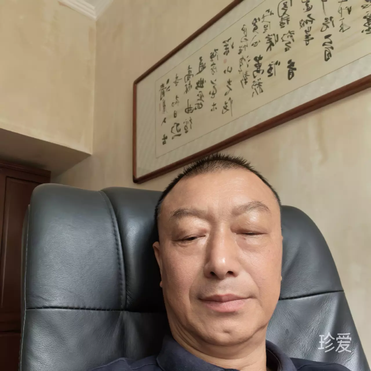 飘落的树叶