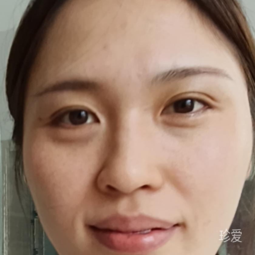 想要变成一只猫