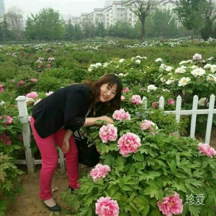 最愛人間五月天