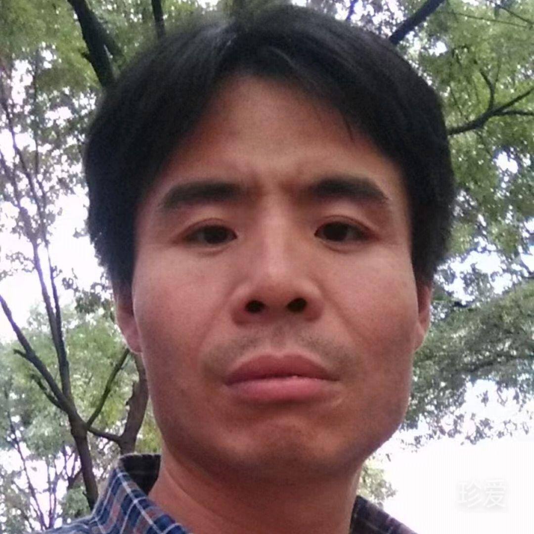 真才是真