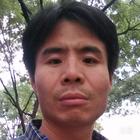 真才是真