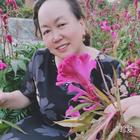 屋檐下的貓
