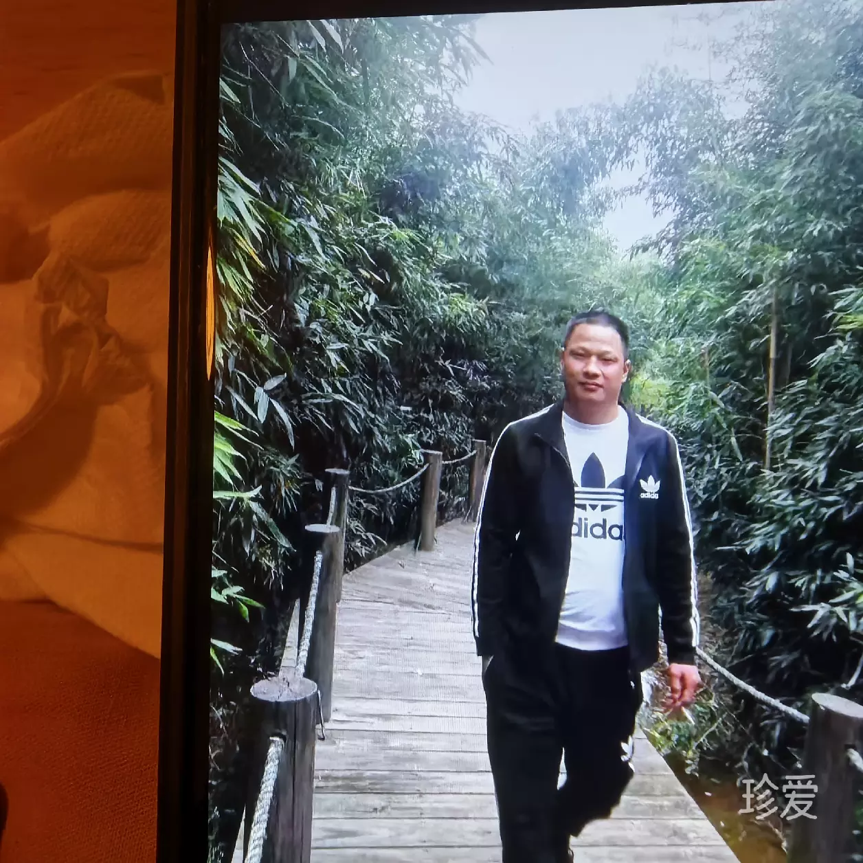 爱你不后悔