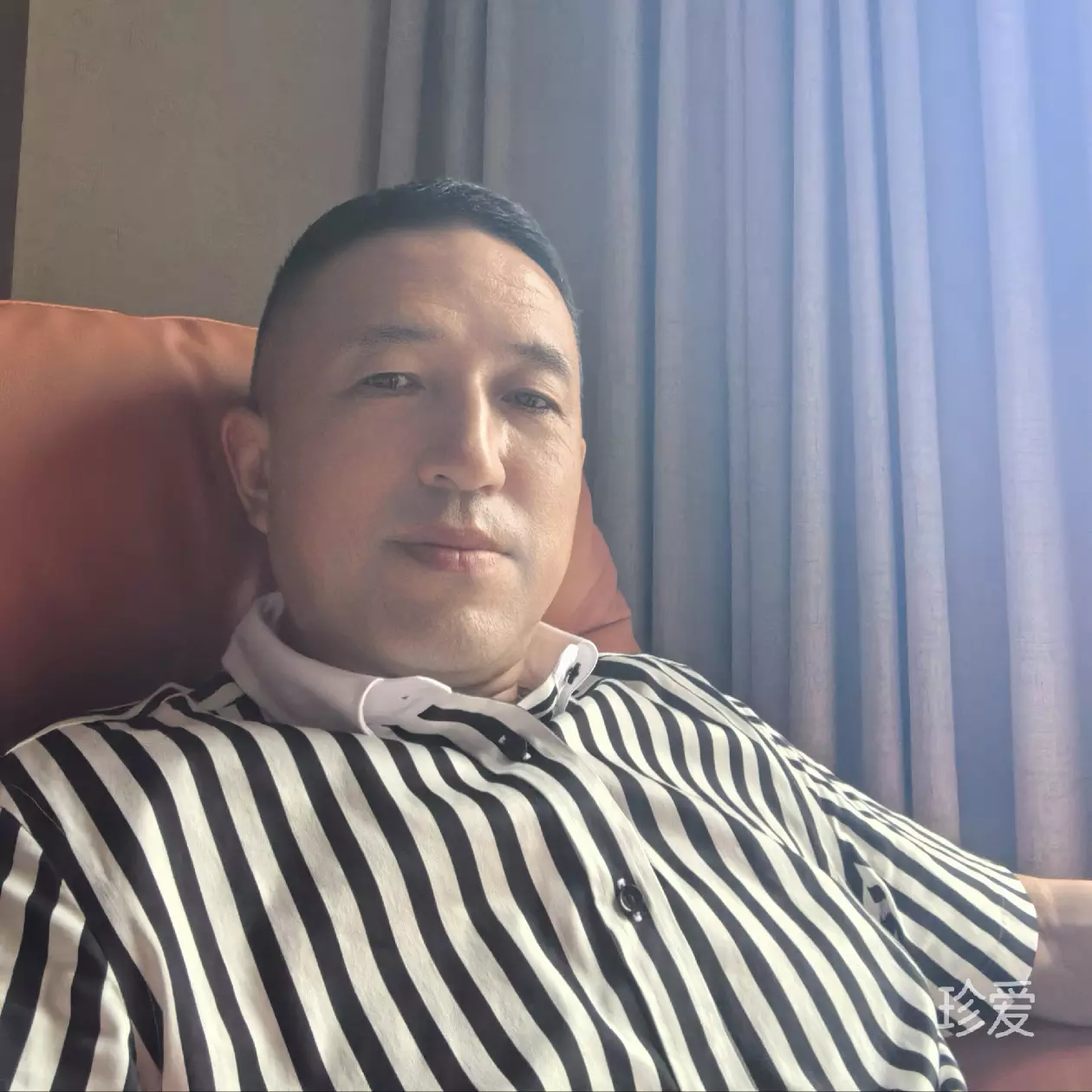 曾经是头牛