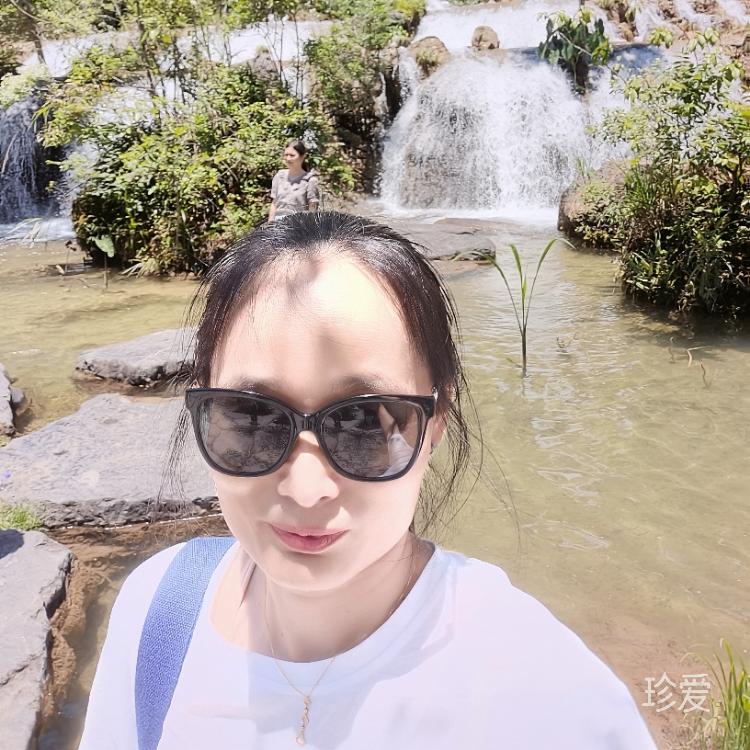 陽(yáng)光下的小草兒