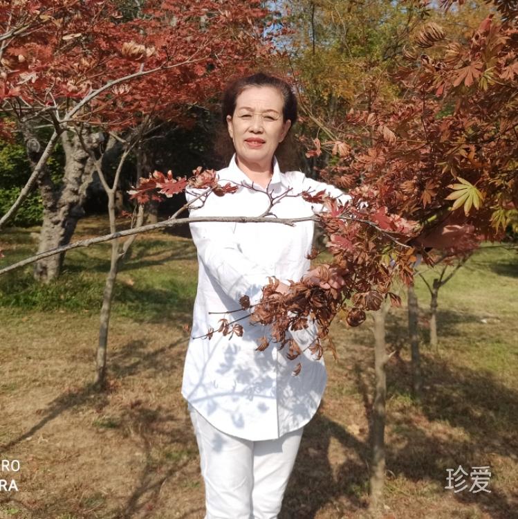 小米花