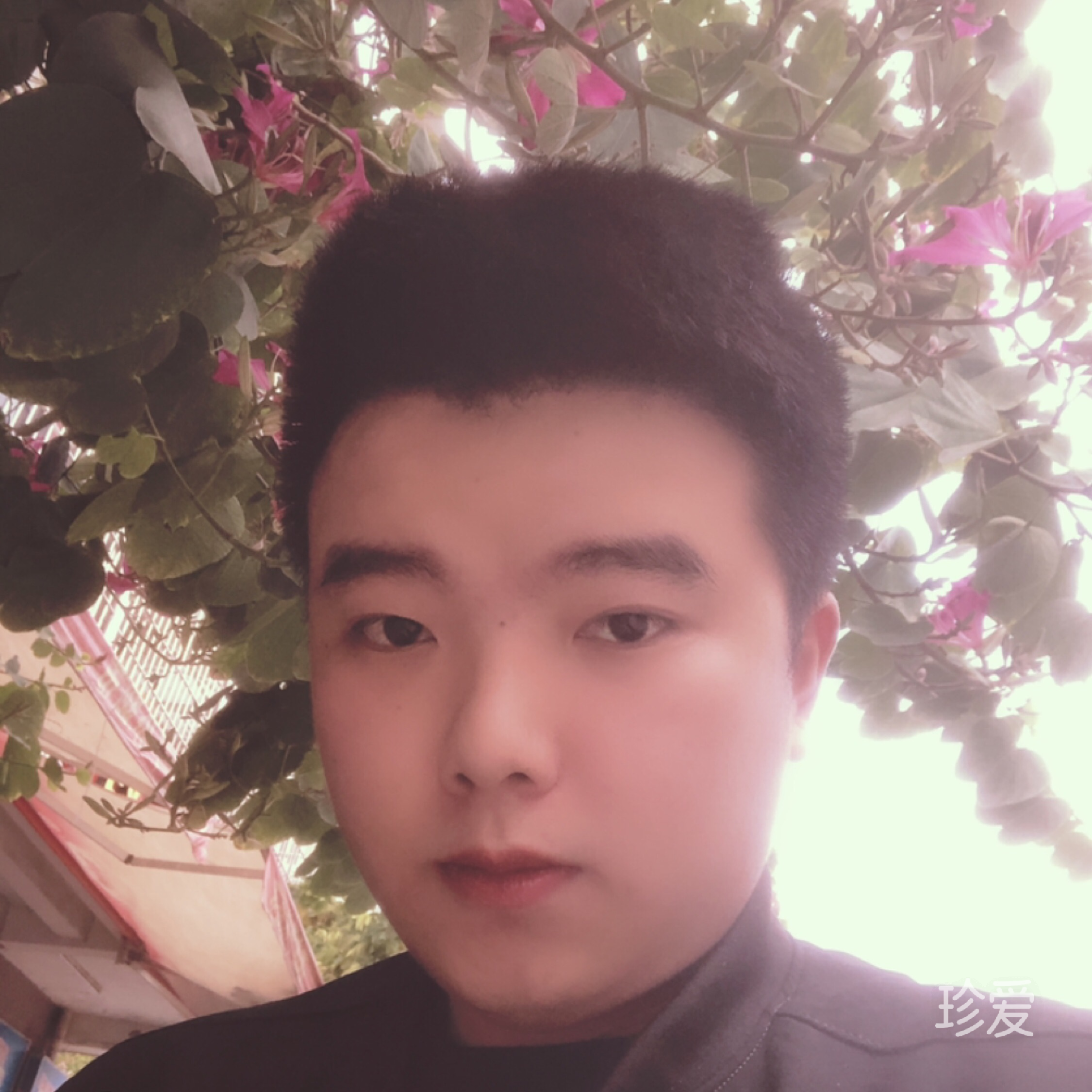 Weylon