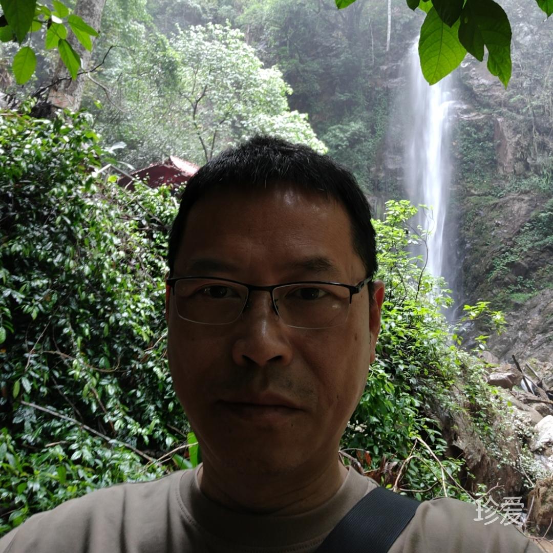 泽泰